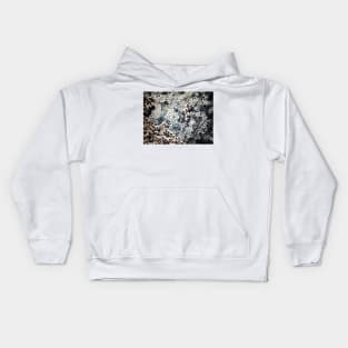 Intertidal Kids Hoodie